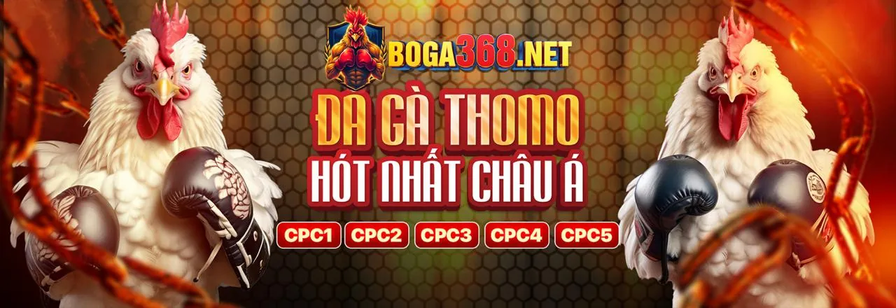 Cá cược thể thao sôi động tại MB66 Casino