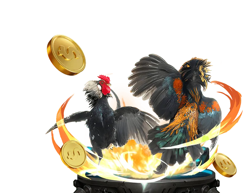 Phần Câu hỏi thường gặp của MB66 Casino